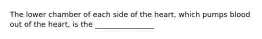 The lower chamber of each side of the heart, which pumps blood out of the heart, is the ________________