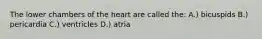 The lower chambers of the heart are called the: A.) bicuspids B.) pericardia C.) ventricles D.) atria