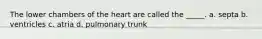 The lower chambers of the heart are called the _____. a. septa b. ventricles c. atria d. pulmonary trunk