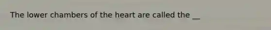 The lower chambers of the heart are called the __