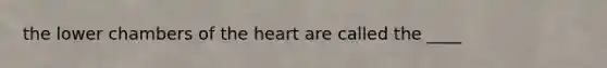 the lower chambers of the heart are called the ____