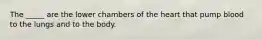 The _____ are the lower chambers of the heart that pump blood to the lungs and to the body.