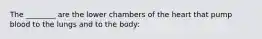 The ________ are the lower chambers of the heart that pump blood to the lungs and to the body: