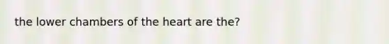 the lower chambers of the heart are the?