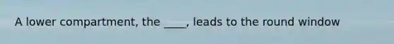 A lower compartment, the ____, leads to the round window