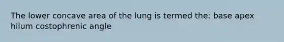 The lower concave area of the lung is termed the: base apex hilum costophrenic angle