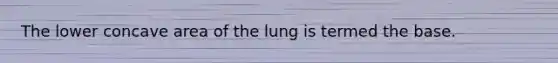 The lower concave area of the lung is termed the base.