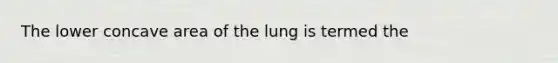 The lower concave area of the lung is termed the