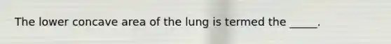 The lower concave area of the lung is termed the _____.