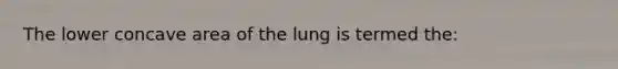 The lower concave area of the lung is termed the: