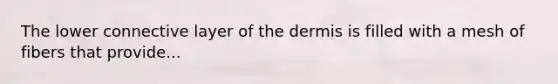 The lower connective layer of the dermis is filled with a mesh of fibers that provide...