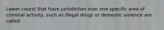 Lower courst that have jurisdiction over one specific area of criminal activity, such as illegal drugs or demestic violence are called