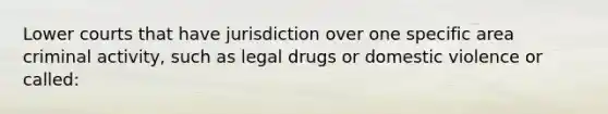 Lower courts that have jurisdiction over one specific area criminal activity, such as legal drugs or domestic violence or called: