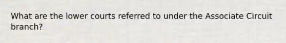 What are the lower courts referred to under the Associate Circuit branch?