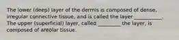 The lower (deep) layer of the dermis is composed of dense, irregular connective tissue, and is called the layer ___________. The upper (superficial) layer, called _________ the layer, is composed of areolar tissue.