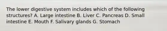 The lower digestive system includes which of the following structures? A. Large intestine B. Liver C. Pancreas D. Small intestine E. Mouth F. Salivary glands G. Stomach