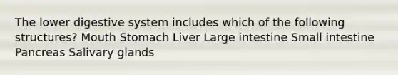 The lower digestive system includes which of the following structures? Mouth Stomach Liver Large intestine Small intestine Pancreas Salivary glands