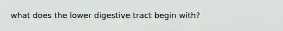 what does the lower digestive tract begin with?