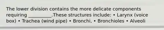 The lower division contains the more delicate components requiring __________.These structures include: • Larynx (voice box) • Trachea (wind pipe) • Bronchi, • Bronchioles • Alveoli