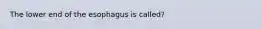 The lower end of the esophagus is called?