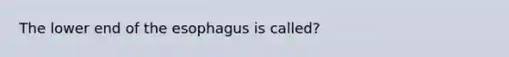 The lower end of the esophagus is called?