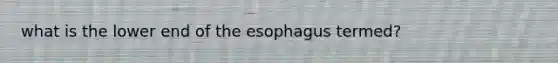 what is the lower end of the esophagus termed?