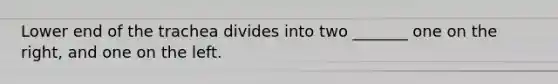 Lower end of the trachea divides into two _______ one on the right, and one on the left.