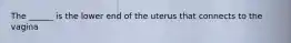 The ______ is the lower end of the uterus that connects to the vagina