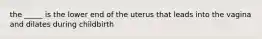 the _____ is the lower end of the uterus that leads into the vagina and dilates during childbirth