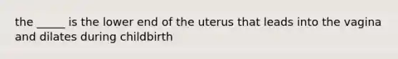 the _____ is the lower end of the uterus that leads into the vagina and dilates during childbirth