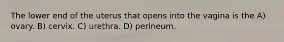 The lower end of the uterus that opens into the vagina is the A) ovary. B) cervix. C) urethra. D) perineum.