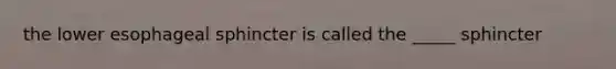 the lower esophageal sphincter is called the _____ sphincter