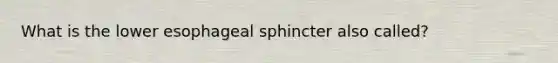 What is the lower esophageal sphincter also called?