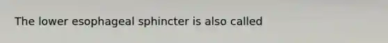 The lower esophageal sphincter is also called