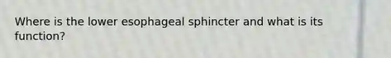 Where is the lower esophageal sphincter and what is its function?