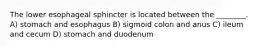 The lower esophageal sphincter is located between the ________. A) stomach and esophagus B) sigmoid colon and anus C) ileum and cecum D) stomach and duodenum
