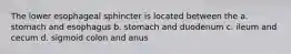 The lower esophageal sphincter is located between the a. stomach and esophagus b. stomach and duodenum c. ileum and cecum d. sigmoid colon and anus