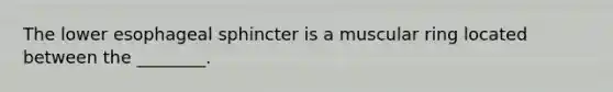 The lower esophageal sphincter is a muscular ring located between the ________.