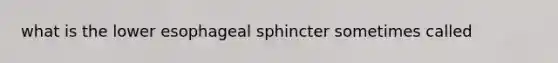 what is the lower esophageal sphincter sometimes called