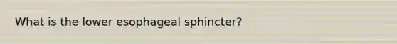 What is the lower esophageal sphincter?