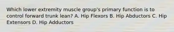 Which lower extremity muscle group's primary function is to control forward trunk lean? A. Hip Flexors B. Hip Abductors C. Hip Extensors D. Hip Adductors