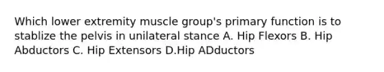 Which lower extremity muscle group's primary function is to stablize the pelvis in unilateral stance A. Hip Flexors B. Hip Abductors C. Hip Extensors D.Hip ADductors