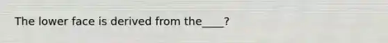 The lower face is derived from the____?