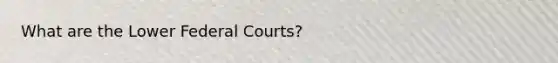 What are the Lower Federal Courts?