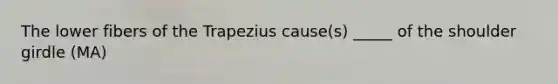 The lower fibers of the Trapezius cause(s) _____ of the shoulder girdle (MA)