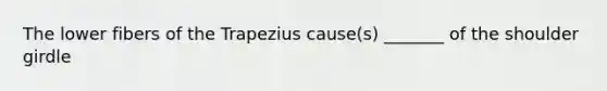 The lower fibers of the Trapezius cause(s) _______ of the shoulder girdle