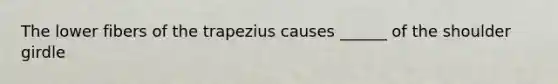 The lower fibers of the trapezius causes ______ of the shoulder girdle