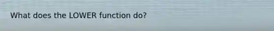 What does the LOWER function do?