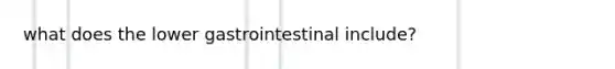 what does the lower gastrointestinal include?