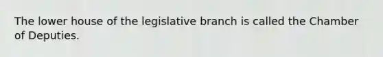 The lower house of the legislative branch is called the Chamber of Deputies.
